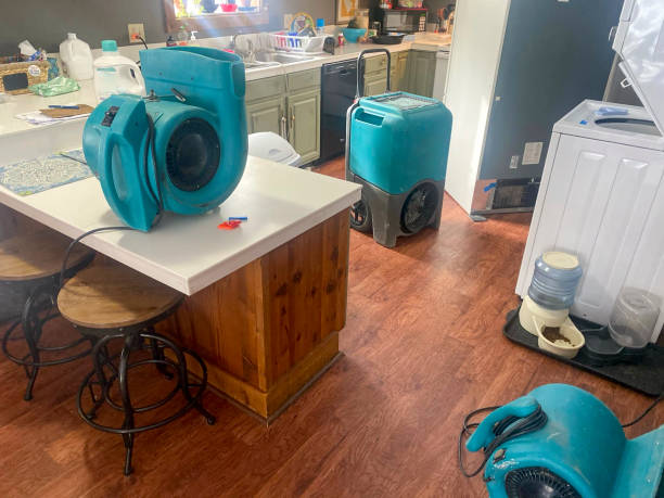 Best Professional water damage repair  in Centerton, AR