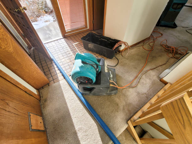 Best Residential water damage restoration  in Centerton, AR