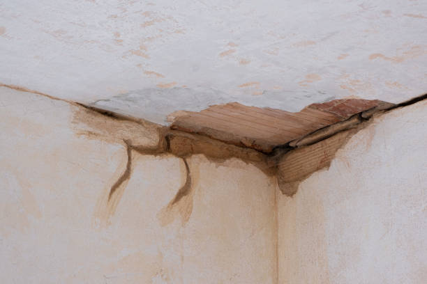 Best Water damage restoration cost  in Centerton, AR