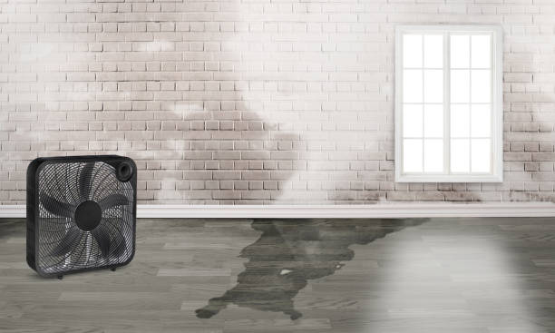 Water damage restoration process in AR