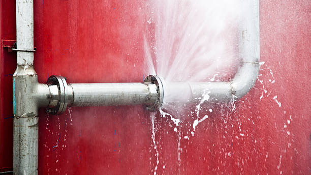 Best Ceiling water damage repair  in Centerton, AR